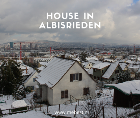 House in Albisrieden