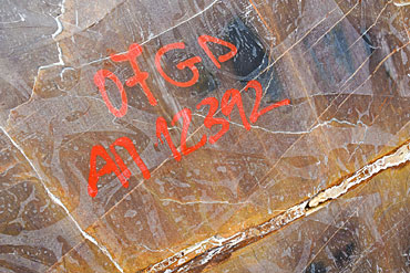 Brok natuursteen met bijna bloedende aders