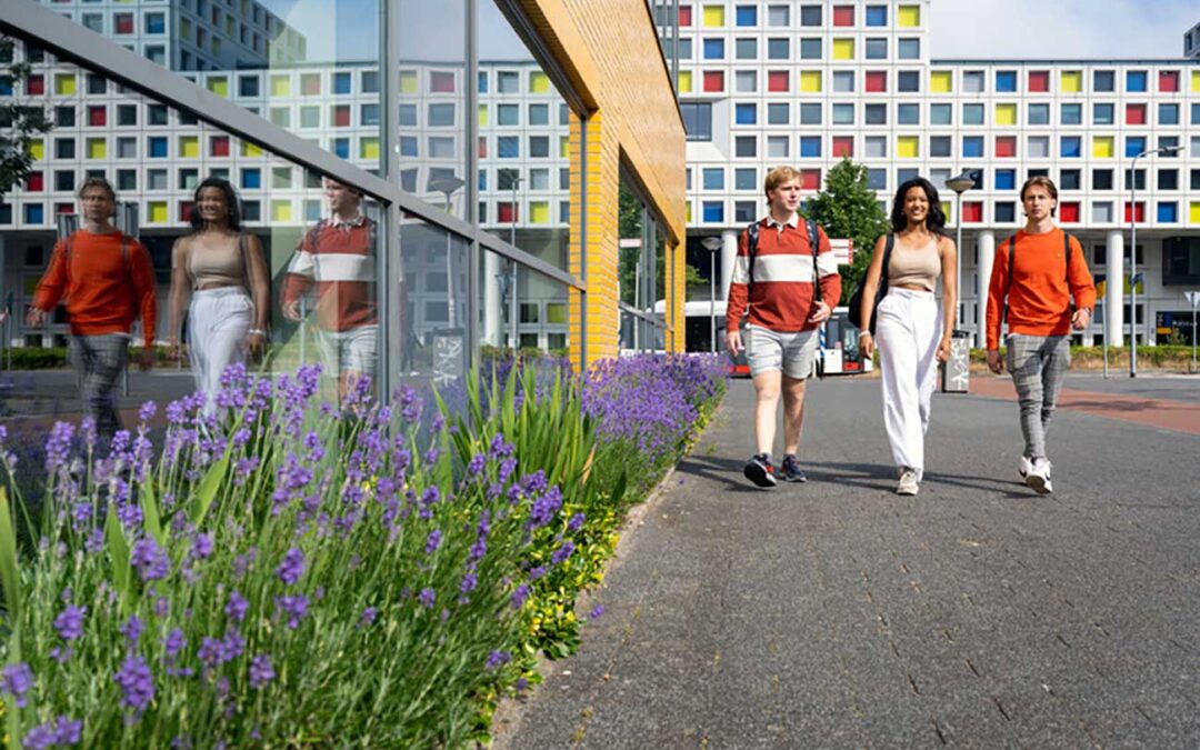 Veel nieuwbouw in Den Haag